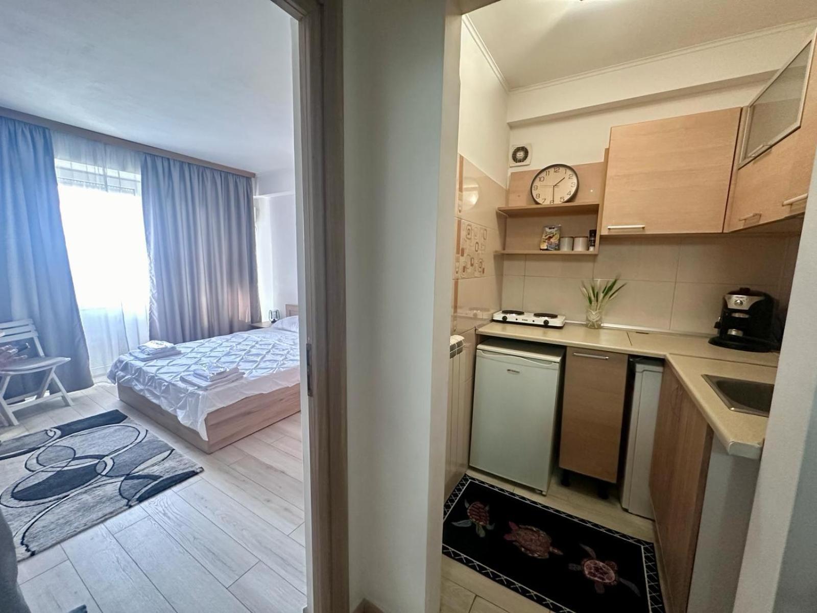 Downtown Studio Calea Victoriei Ultracentral 布加勒斯特 外观 照片